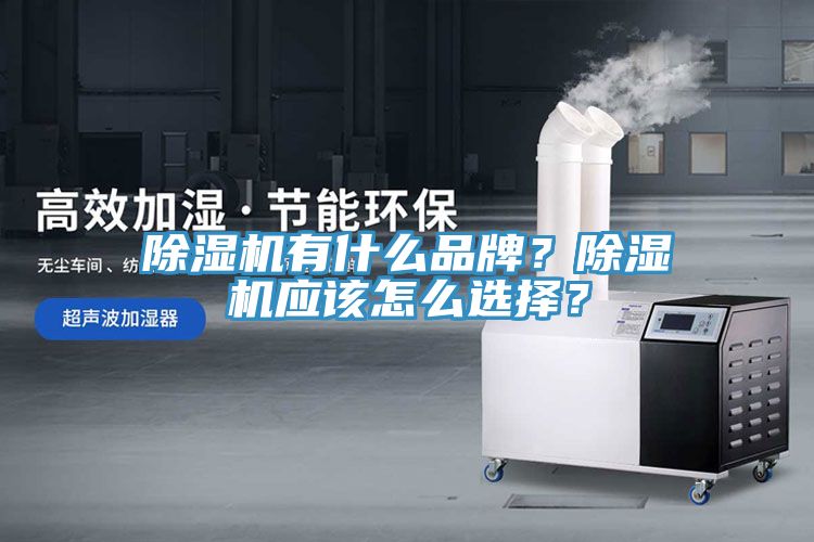 除濕機(jī)有什么品牌？除濕機(jī)應(yīng)該怎么選擇？