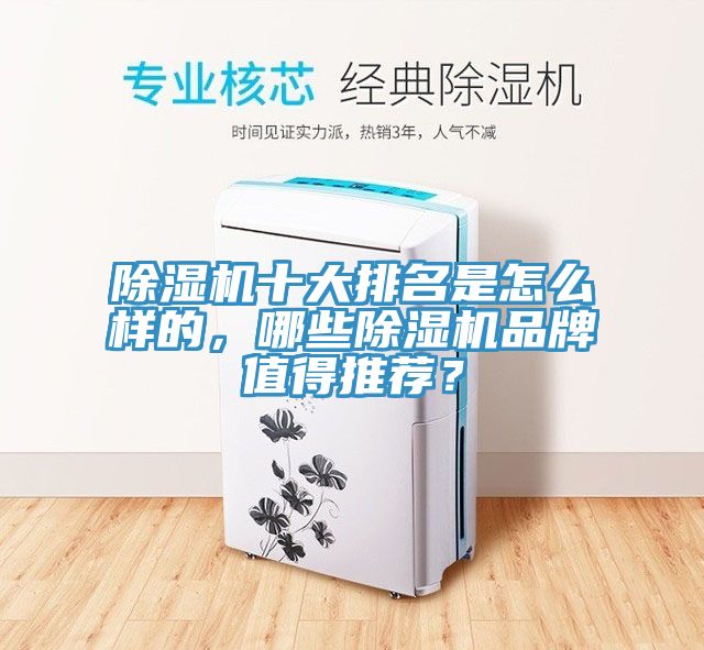 除濕機(jī)十大排名是怎么樣的，哪些除濕機(jī)品牌值得推薦？