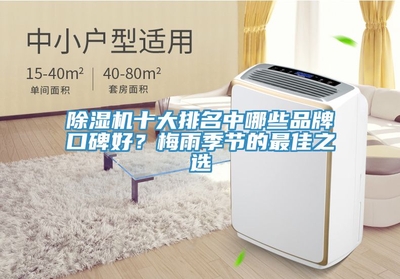 除濕機(jī)十大排名中哪些品牌口碑好？梅雨季節(jié)的最佳之選