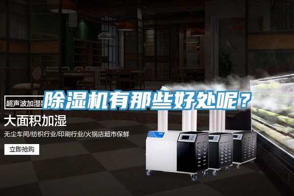 除濕機(jī)有那些好處呢？