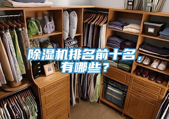 除濕機(jī)排名前十名，有哪些？