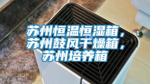 蘇州恒溫恒濕箱，蘇州鼓風(fēng)干燥箱，蘇州培養(yǎng)箱