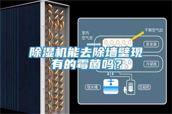 除濕機能去除墻壁現(xiàn)有的霉菌嗎？