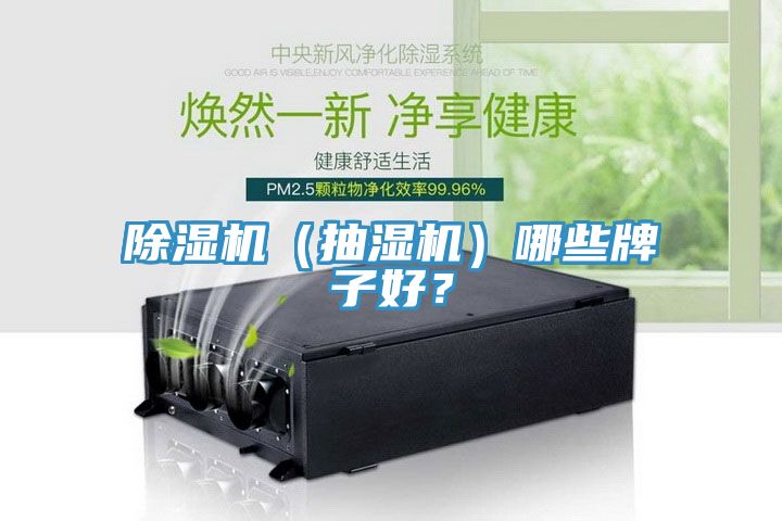 除濕機(jī)（抽濕機(jī)）哪些牌子好？
