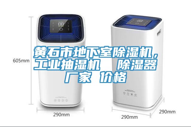 黃石市地下室除濕機，工業(yè)抽濕機  除濕器廠家 價格