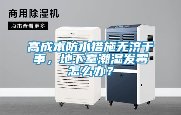 高成本防水措施無(wú)濟(jì)于事，地下室潮濕發(fā)霉怎么辦？