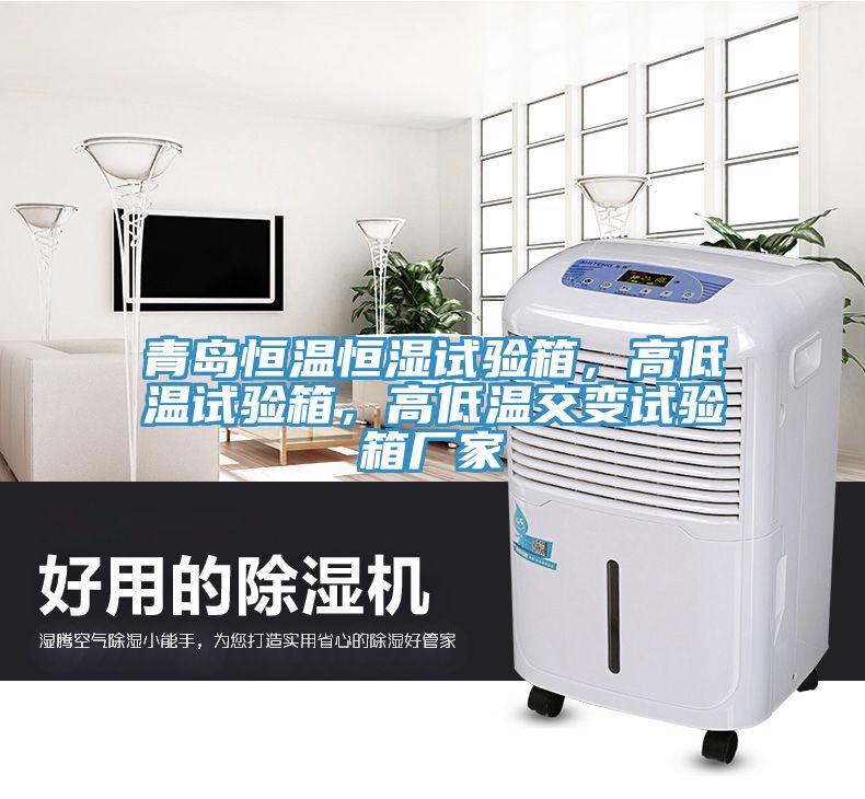 青島恒溫恒濕試驗(yàn)箱，高低溫試驗(yàn)箱，高低溫交變試驗(yàn)箱廠家
