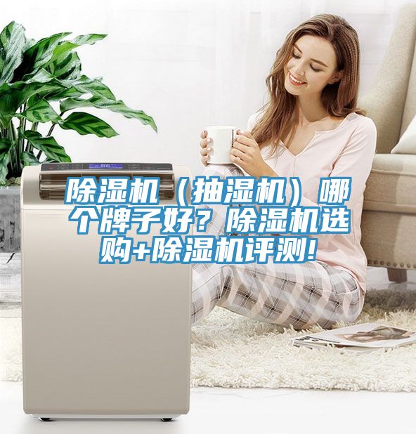 除濕機(jī)（抽濕機(jī)）哪個牌子好？除濕機(jī)選購+除濕機(jī)評測!