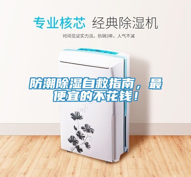 防潮除濕自救指南，最便宜的不花錢！