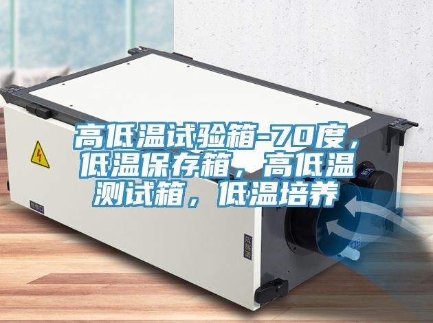 高低溫試驗(yàn)箱-70度，低溫保存箱，高低溫測(cè)試箱，低溫培養(yǎng)