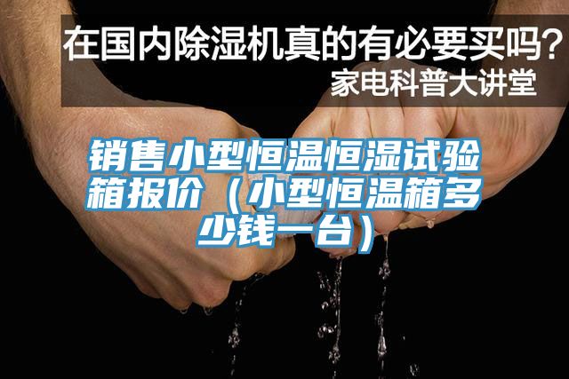 銷(xiāo)售小型恒溫恒濕試驗(yàn)箱報(bào)價(jià)（小型恒溫箱多少錢(qián)一臺(tái)）