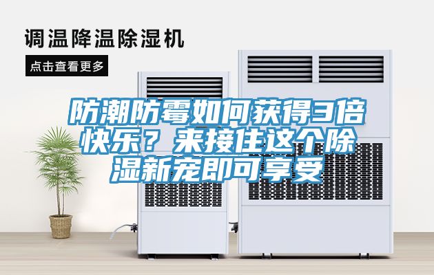 防潮防霉如何獲得3倍快樂？來接住這個(gè)除濕新寵即可享受