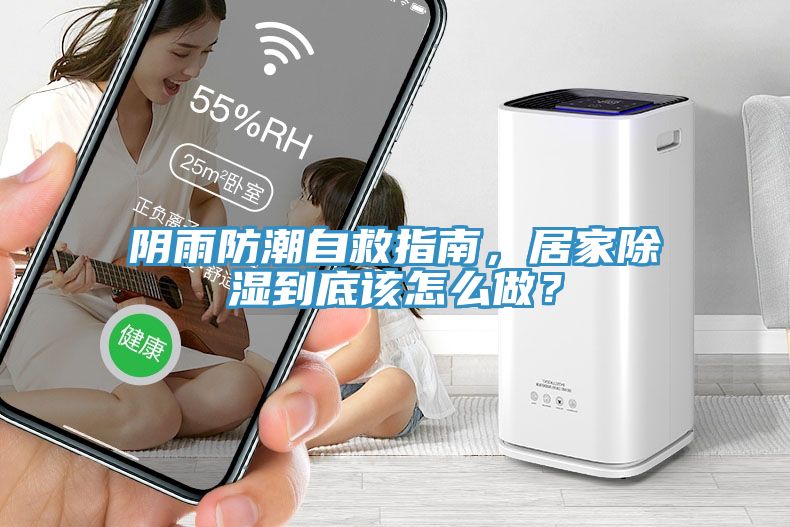 陰雨防潮自救指南，居家除濕到底該怎么做？