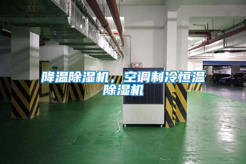 降溫除濕機，空調(diào)制冷恒溫除濕機