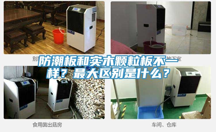 防潮板和實(shí)木顆粒板不一樣？最大區(qū)別是什么？