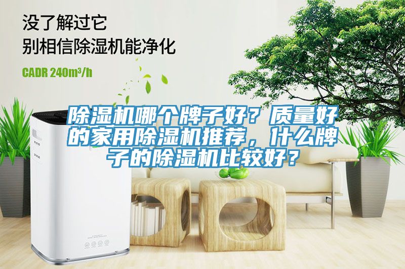 除濕機(jī)哪個牌子好？質(zhì)量好的家用除濕機(jī)推薦，什么牌子的除濕機(jī)比較好？