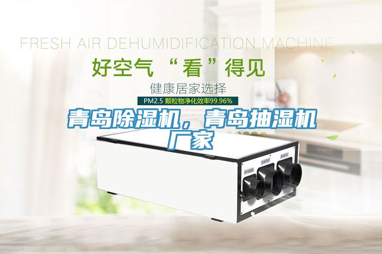青島除濕機(jī)，青島抽濕機(jī)廠(chǎng)家