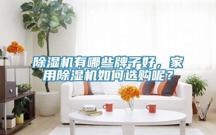 除濕機(jī)有哪些牌子好，家用除濕機(jī)如何選購(gòu)呢？