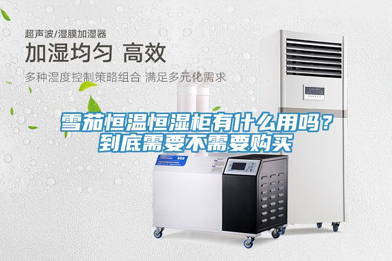 雪茄恒溫恒濕柜有什么用嗎？到底需要不需要購買