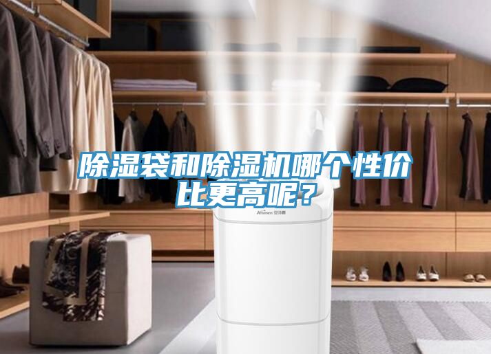 除濕袋和除濕機哪個性價比更高呢？