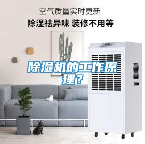 除濕機(jī)的工作原理？