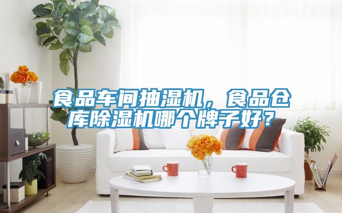 食品車間抽濕機，食品倉庫除濕機哪個牌子好？