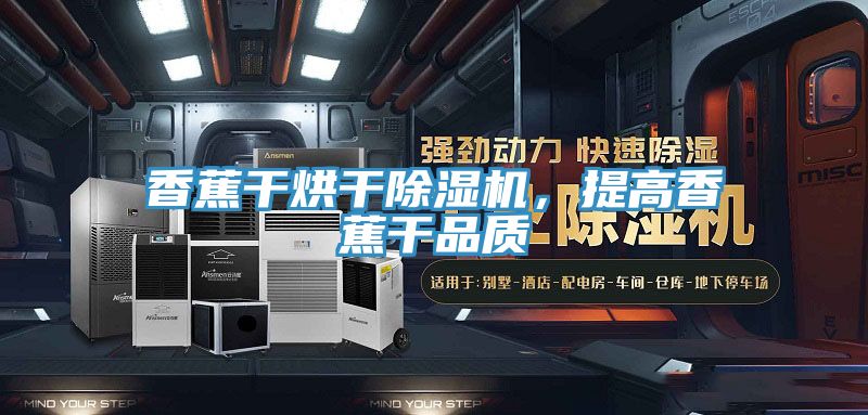 香蕉干烘干除濕機，提高香蕉干品質