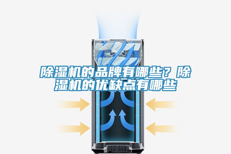 除濕機(jī)的品牌有哪些？除濕機(jī)的優(yōu)缺點(diǎn)有哪些
