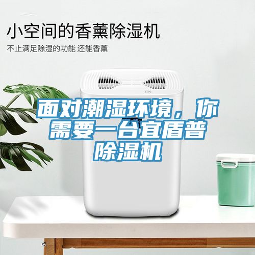 面對潮濕環(huán)境，你需要一臺宜盾普除濕機(jī)