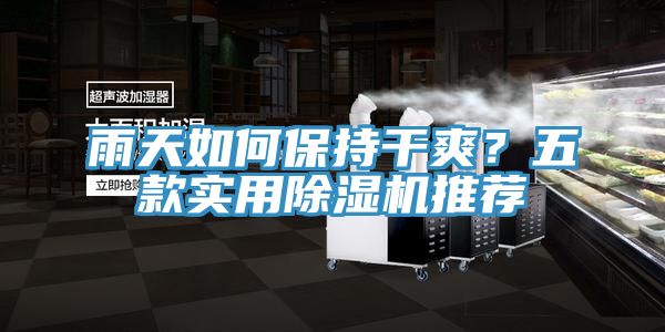 雨天如何保持干爽？五款實(shí)用除濕機(jī)推薦