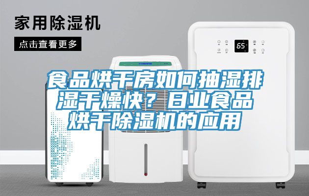 食品烘干房如何抽濕排濕干燥快？日業(yè)食品烘干除濕機的應(yīng)用