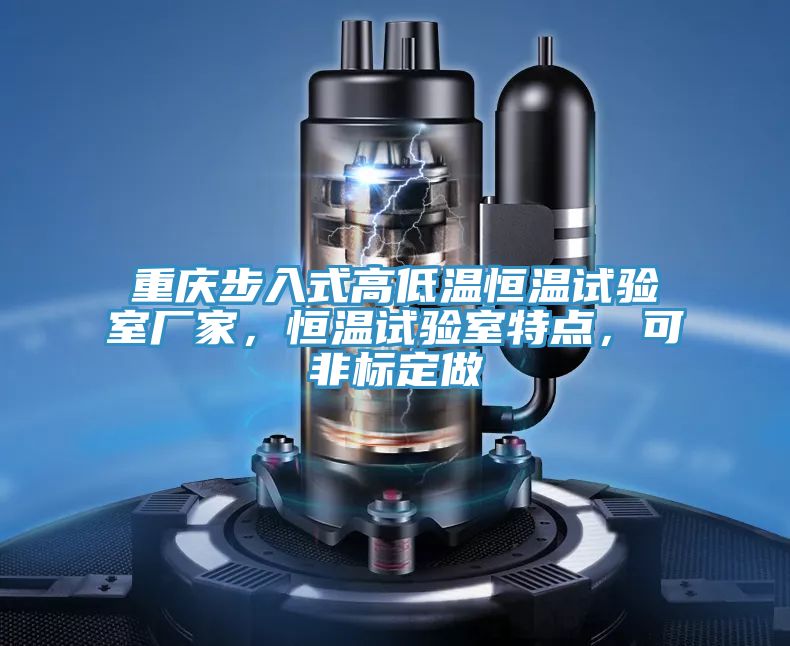 重慶步入式高低溫恒溫試驗室廠家，恒溫試驗室特點，可非標(biāo)定做