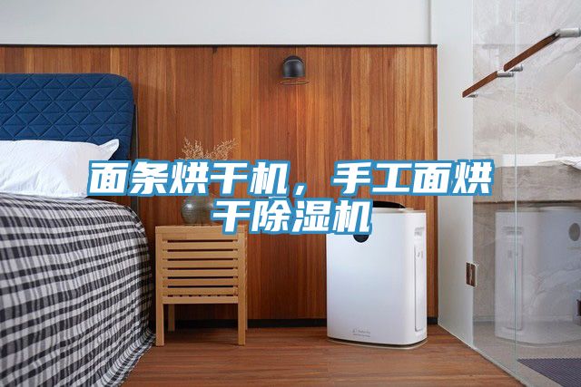 面條烘干機，手工面烘干除濕機