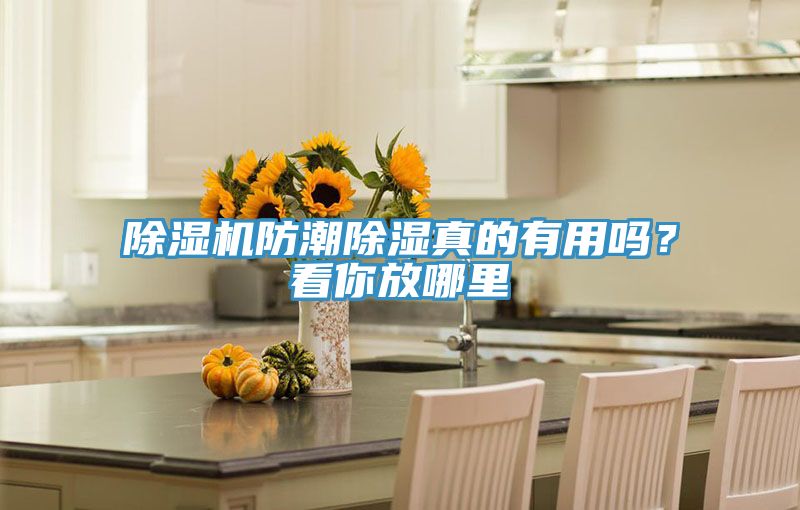 除濕機(jī)防潮除濕真的有用嗎？看你放哪里