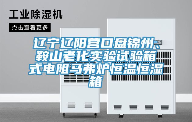 遼寧遼陽營口盤錦州、鞍山老化實(shí)驗(yàn)試驗(yàn)箱式電阻馬弗爐恒溫恒濕箱
