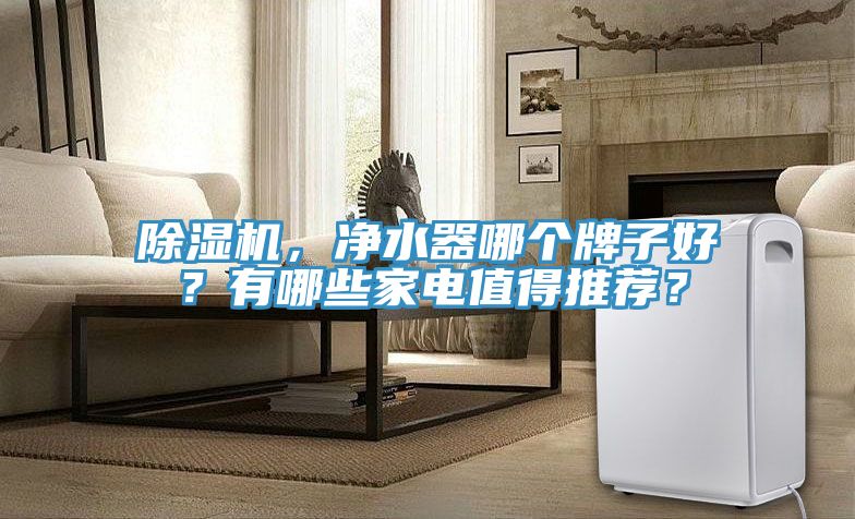 除濕機(jī)，凈水器哪個(gè)牌子好？有哪些家電值得推薦？