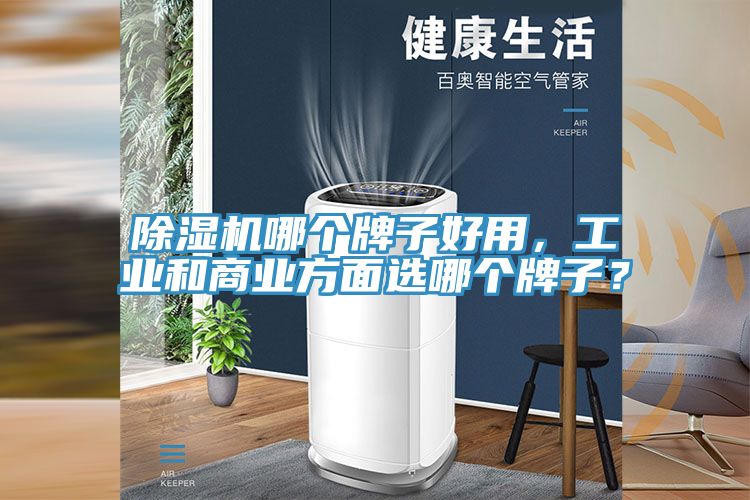 除濕機哪個牌子好用，工業(yè)和商業(yè)方面選哪個牌子？