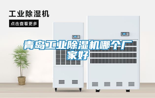青島工業(yè)除濕機(jī)哪個(gè)廠(chǎng)家好