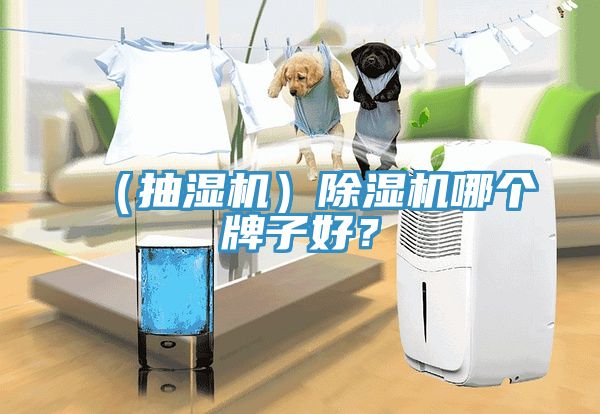 （抽濕機(jī)）除濕機(jī)哪個牌子好？