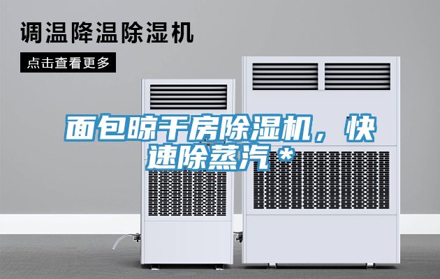 面包晾干房除濕機(jī)，快速除蒸汽＊