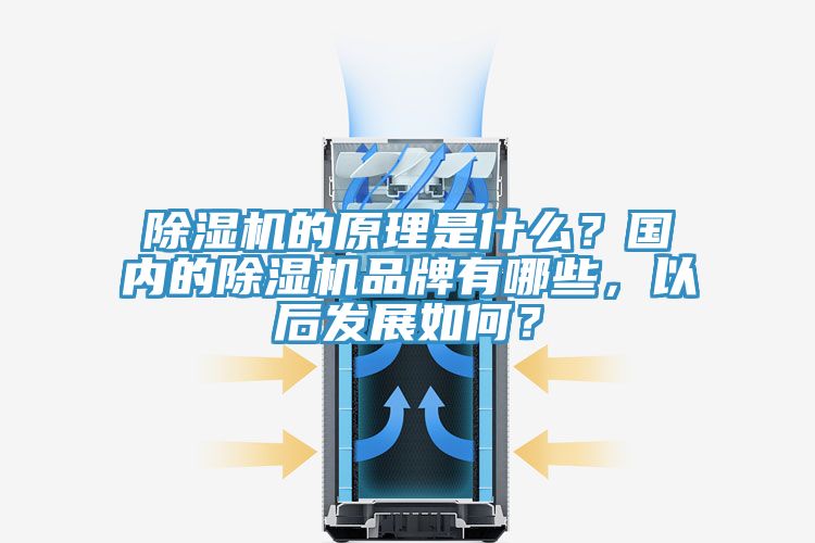 除濕機(jī)的原理是什么？國(guó)內(nèi)的除濕機(jī)品牌有哪些，以后發(fā)展如何？