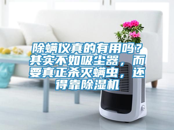 除螨儀真的有用嗎？其實(shí)不如吸塵器，而要真正殺滅螨蟲(chóng)，還得靠除濕機(jī)