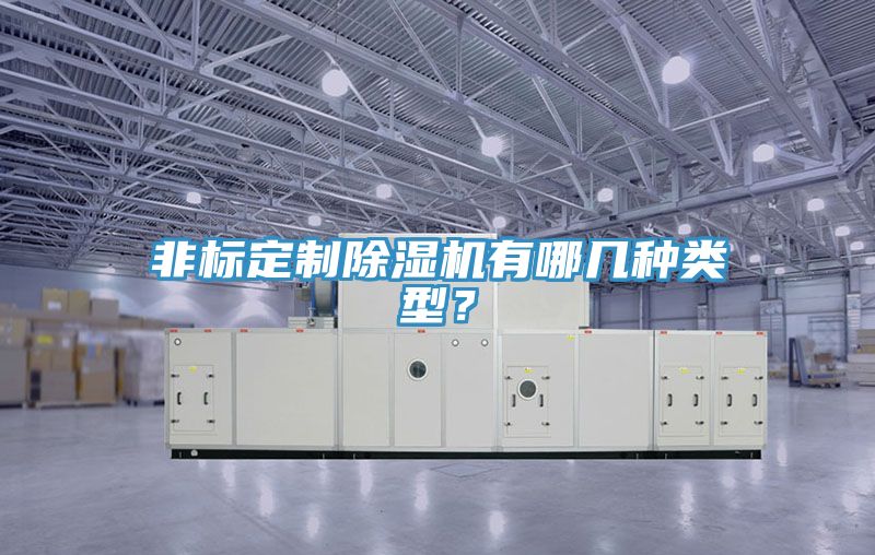 非標(biāo)定制除濕機(jī)有哪幾種類型？
