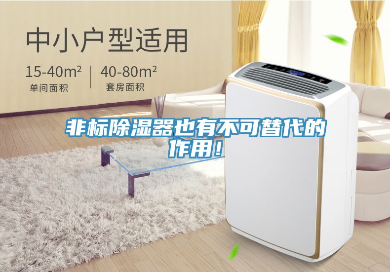 非標(biāo)除濕器也有不可替代的作用！