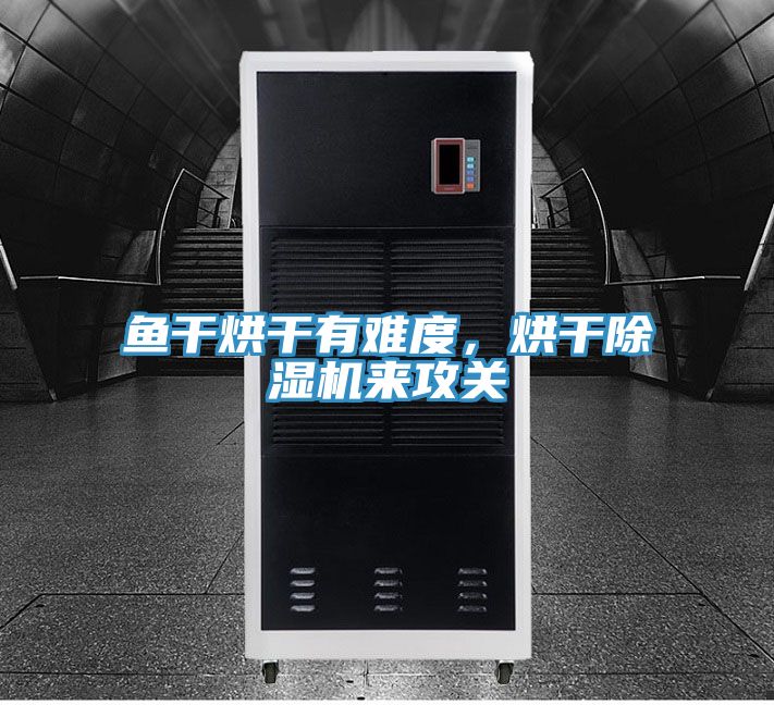 魚干烘干有難度，烘干除濕機來攻關(guān)