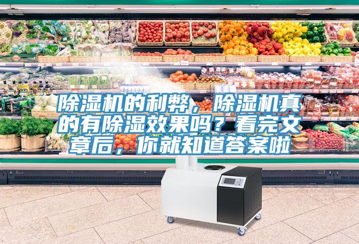 除濕機(jī)的利弊，除濕機(jī)真的有除濕效果嗎？看完文章后，你就知道答案啦