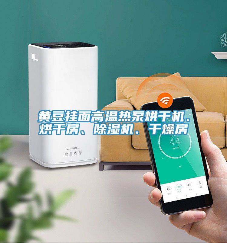 黃豆掛面高溫熱泵烘干機、烘干房、除濕機、干燥房