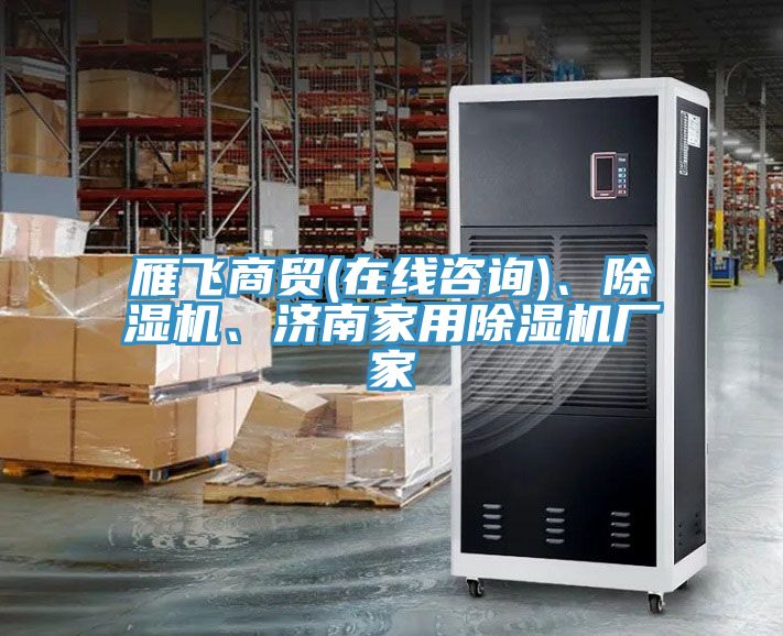 雁飛商貿(mào)(在線咨詢(xún))、除濕機(jī)、濟(jì)南家用除濕機(jī)廠家
