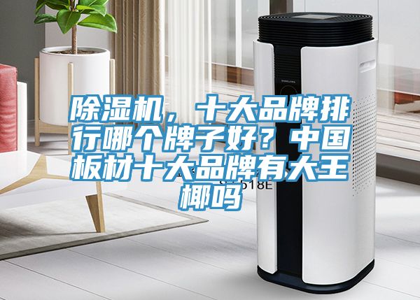 除濕機(jī)，十大品牌排行哪個(gè)牌子好？中國(guó)板材十大品牌有大王椰嗎