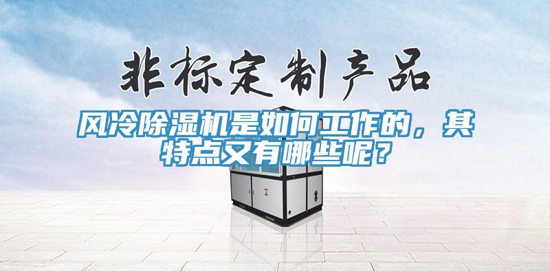風(fēng)冷除濕機是如何工作的，其特點又有哪些呢？